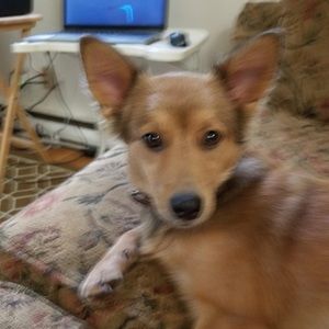 Meet your Posher, Bernard